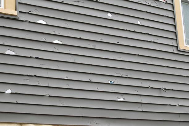 Best Siding Painting and Refinishing  in Graniteville, SC